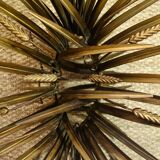 Chanel coco "wheat gerbe" coffee table from the 1950s