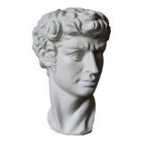 Plaster bust of David