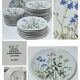 Six flat plates porcelain Bernardaud Limoges model Alcée floral decoration