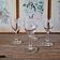 Antique liqueur (digestif) glasses in engraved crystal, geometric decoration