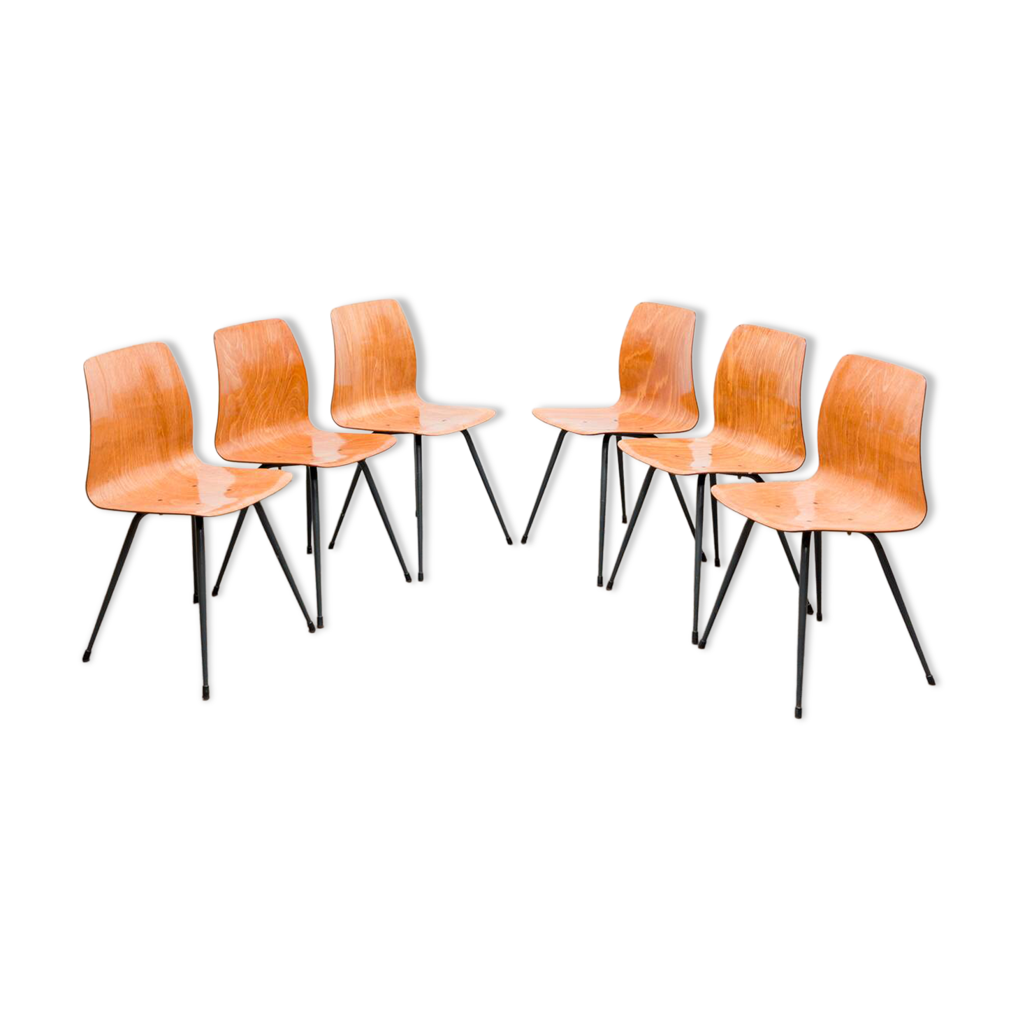 Set of 6 Pagholz chairs in a two-tone design, Pag Presswerke edition.
