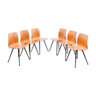 Set of 6 Pagholz chairs in a two-tone design, Pag Presswerke edition.