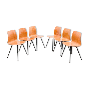 Set of 6 Pagholz chairs in a two-tone design, Pag Presswerke edition.