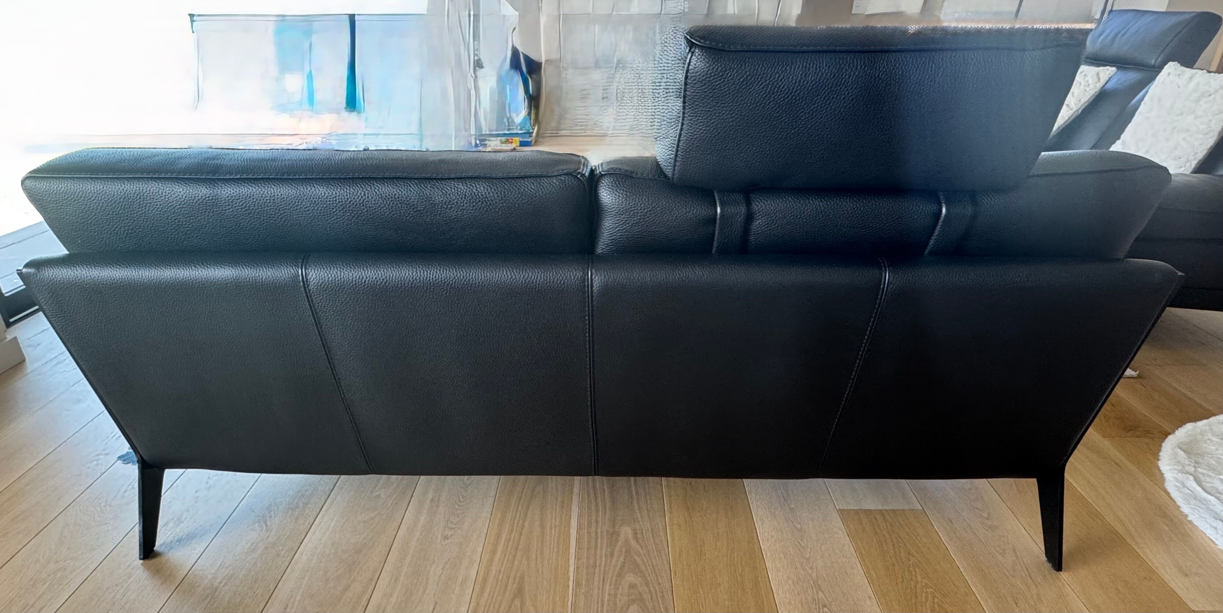 Leather canapés Roche Bobois
