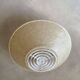 Louis Kalff ceiling light Philips from the 1950s in fibreglass.