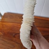 White coral 1970s seashell large size