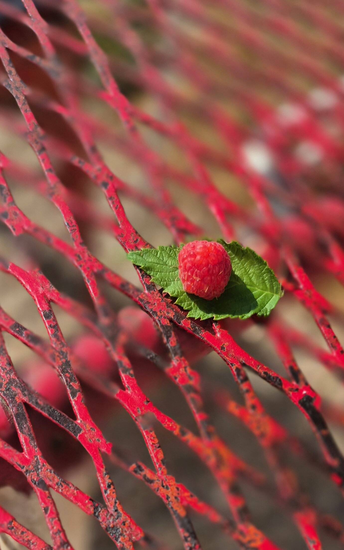 René Malaval garden furniture