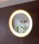 Poul Henningsen mirror vintage 1960