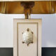Turtle décor office lamp, 1970
