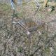 Vintage designer chair in plexiglass and chrome 1980