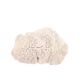 white coral empty pocket shape, cabinet of curiosities, 70s