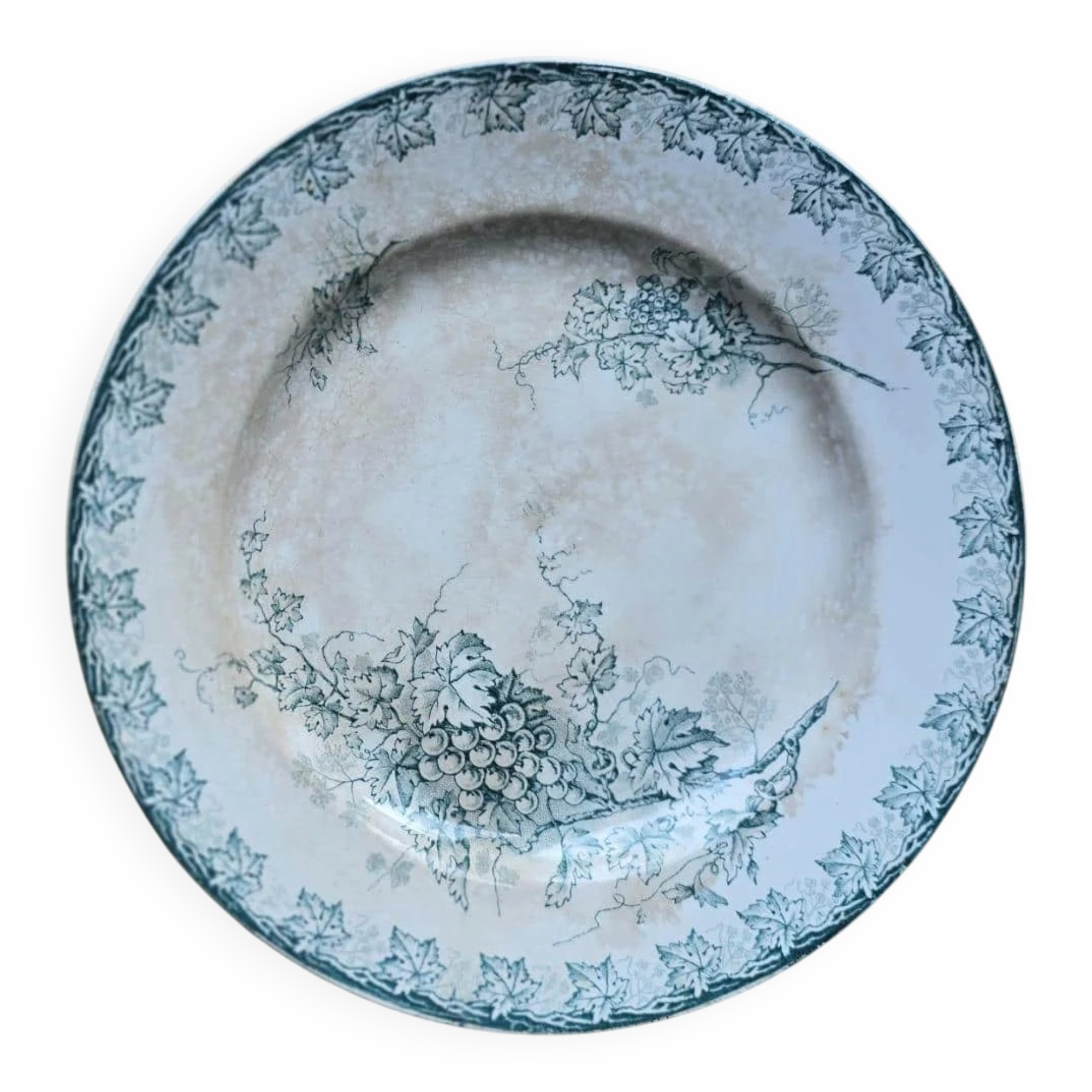 Plate plate model Grape