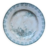 Plate plate model Grape