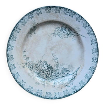 Plate plate model Grape