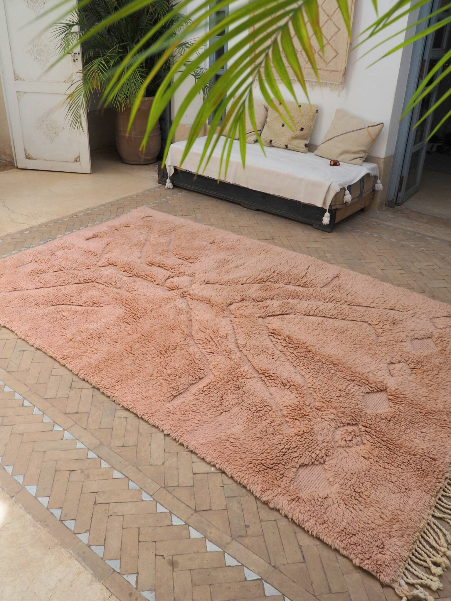 Tapis Mrirt 255x160cm