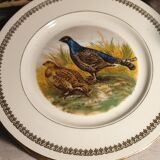 Game plates pl france
