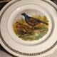 Game plates pl france