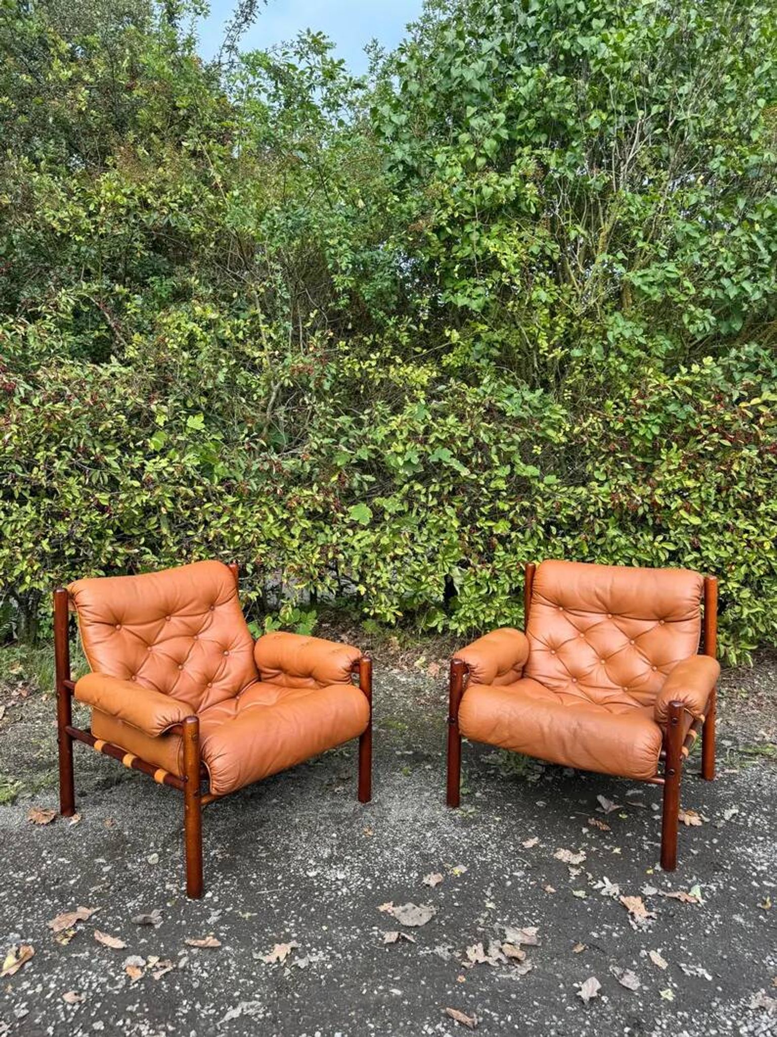 Pair of lounge chairs "Dickie" by Arne Norell – Sweden, 1970s