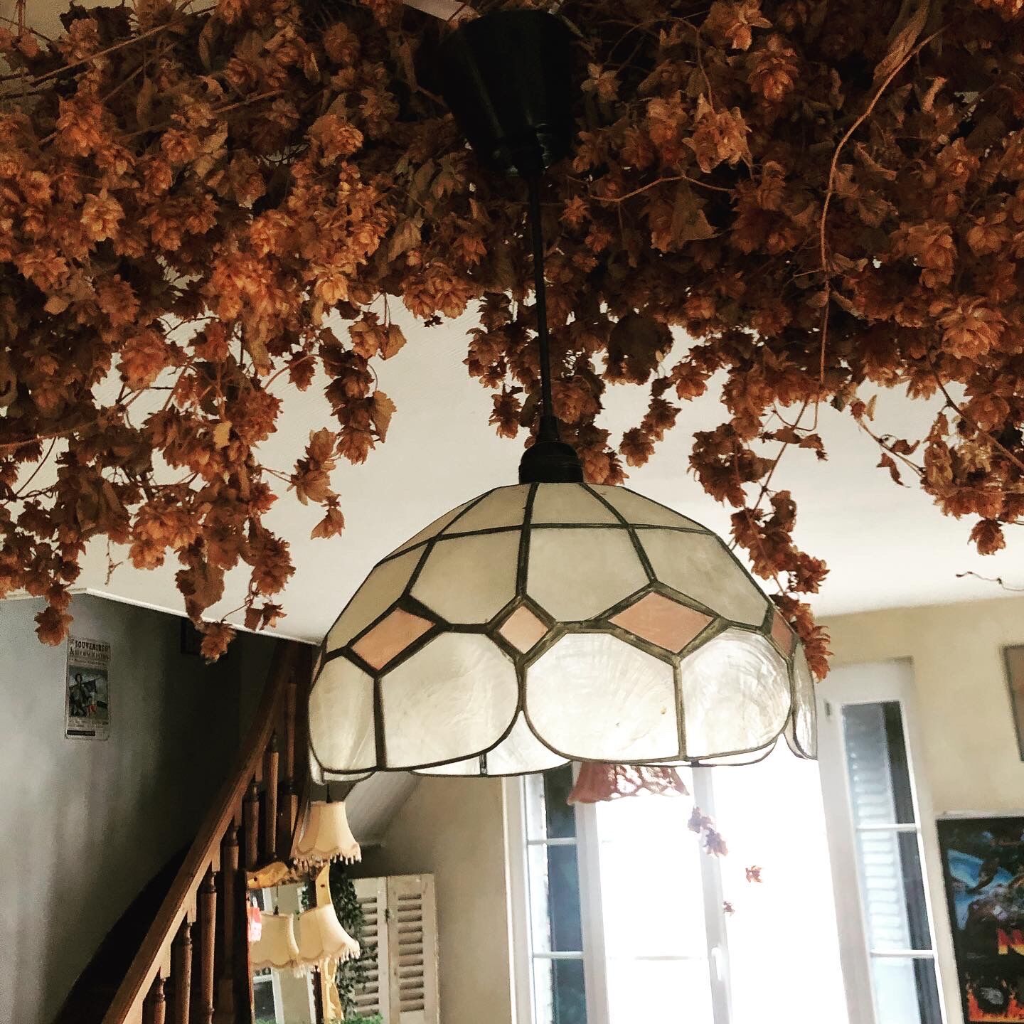 Mother-of-pearl suspension