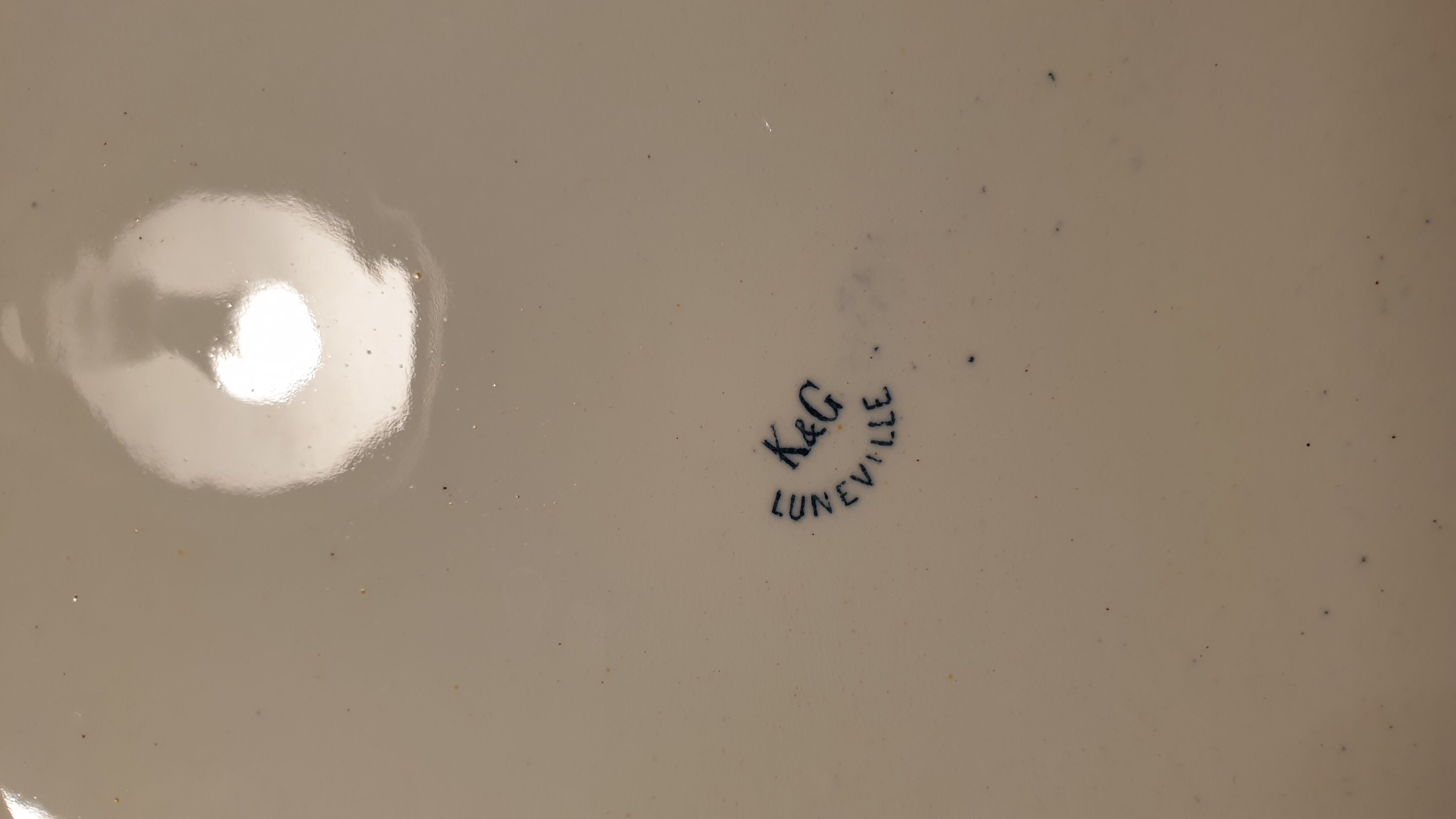 Serving dish décor with insects