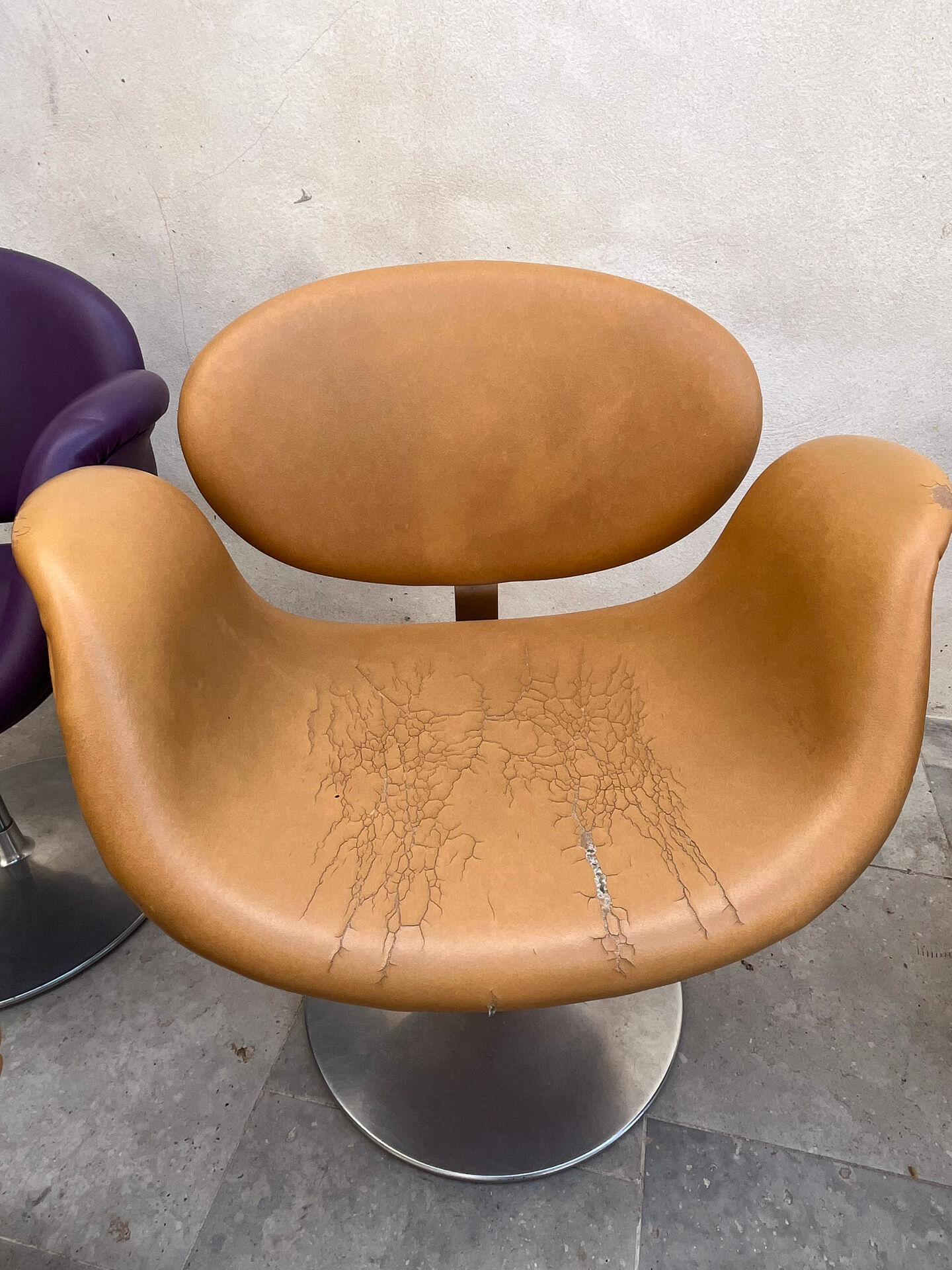 7 Tulip Chairs Paulin