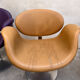 7 Tulip Chairs Paulin