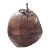 Coconut ice cube bucket by mrs. morin nocodaf abidjan