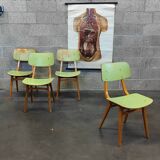 Set of 4 Tatra Nabytok green wood chairs 1960