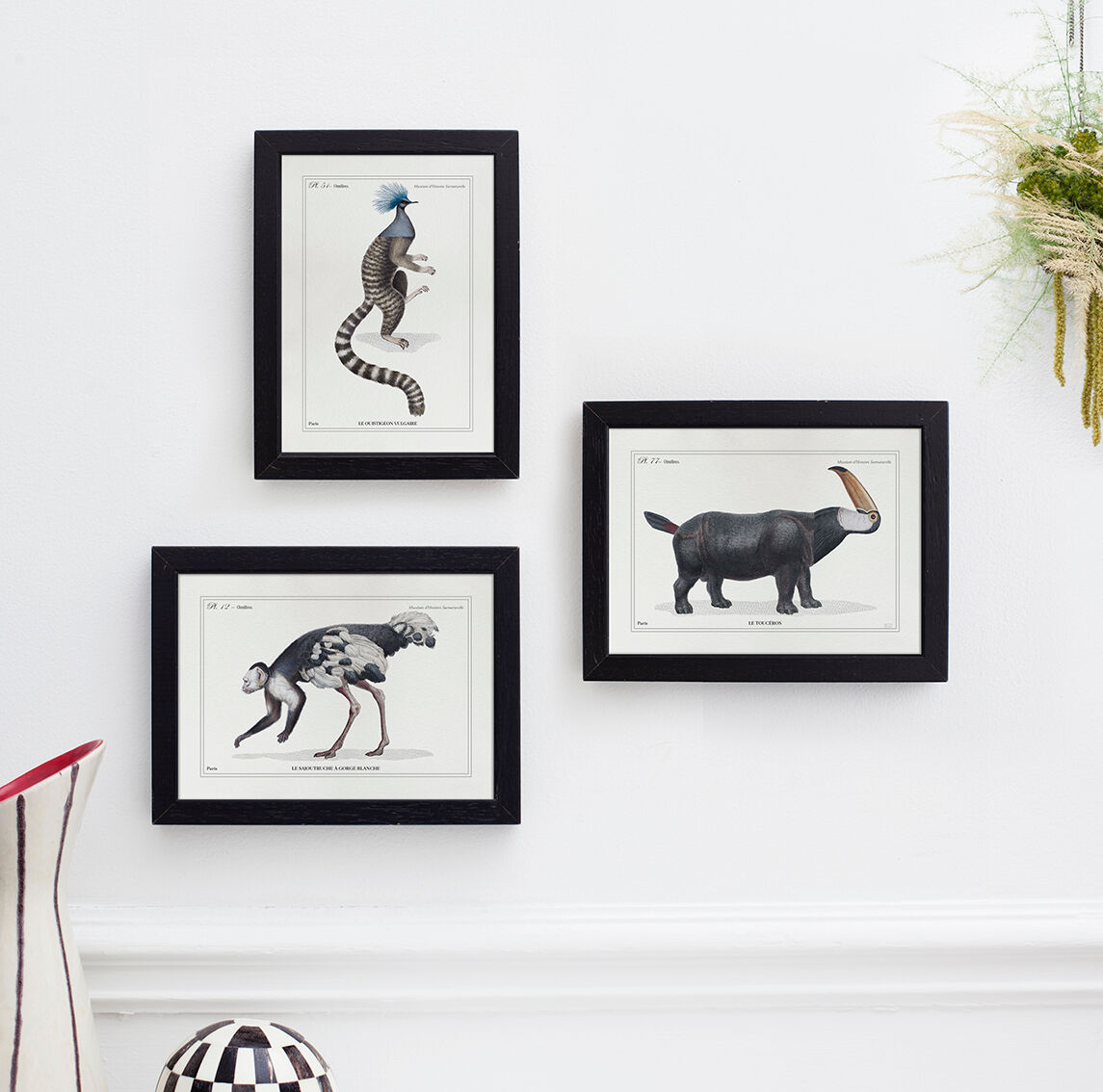 Lithograph chimeric engraving animal - the cariapocampus