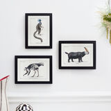 Lithograph chimeric engraving animal - the cariapocampus