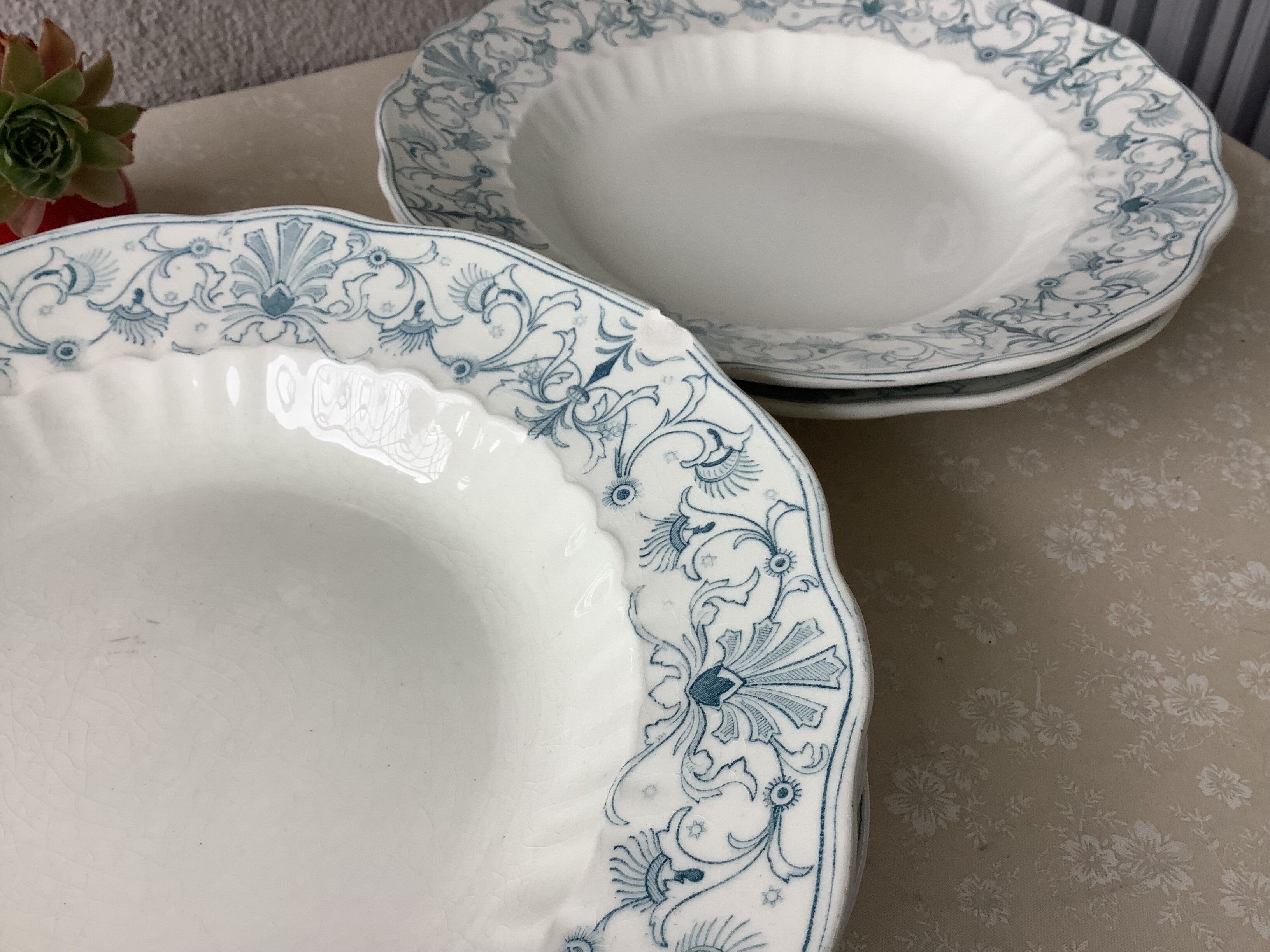 Ridgways 19th century English ironstone plates