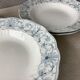 Assiettes terre de fer anglaises Ridgways XIX ème