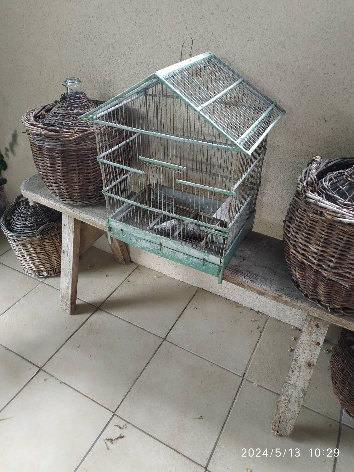 Bird cage