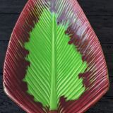 Fruit cup fpp Vallauris