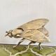 Cendrier mouche vintage