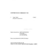 Large Tikka table by Miki Astori