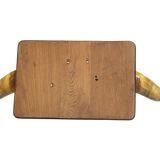 Cow's head horn and skull circa 1960