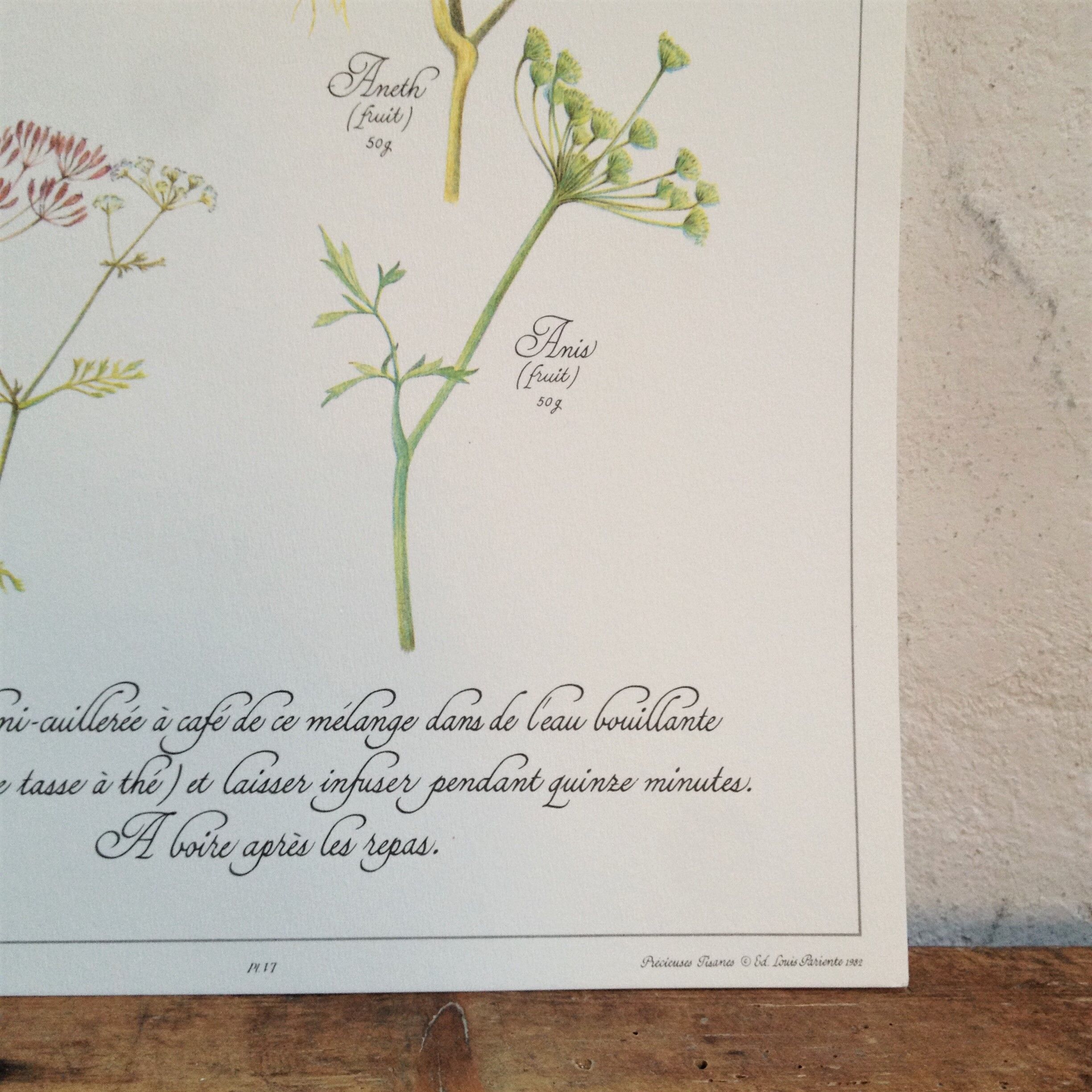 Botanical poster is a tisane