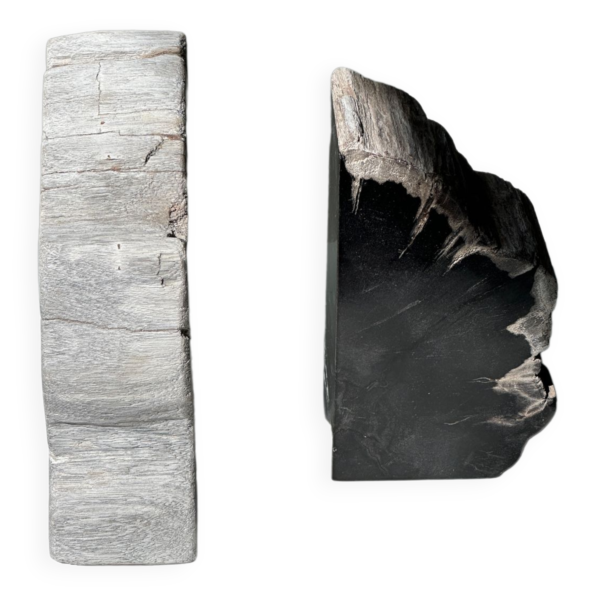 Black petrified wood bookend H17 L17 P6
