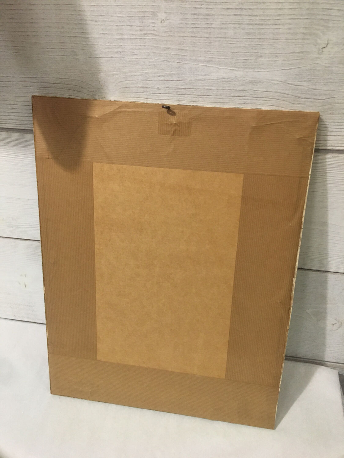 Ornithological engraving