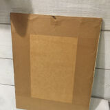 Ornithological engraving