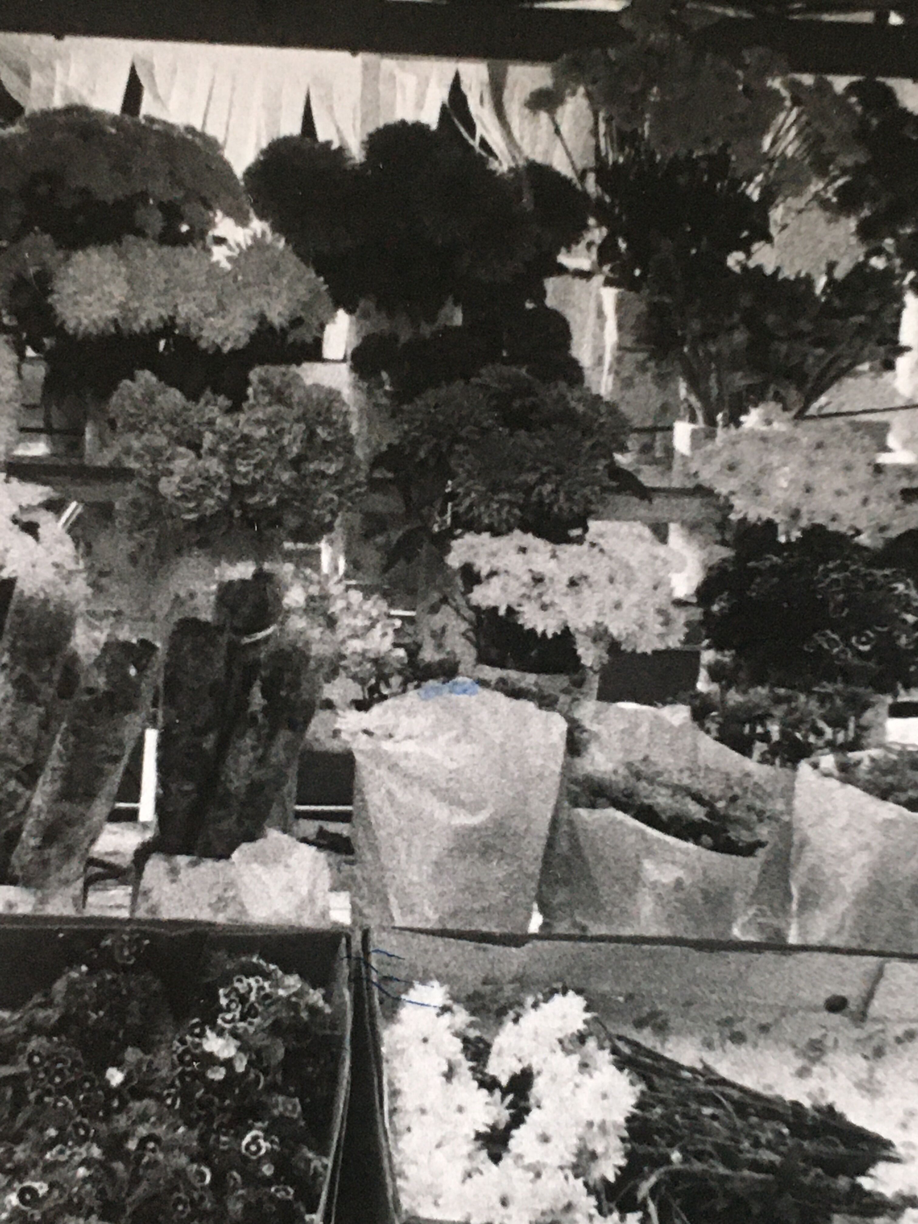 Photo années 80 marché aux fleurs angleterre