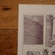 Lithographies originales sur les arbres
