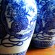 Pair of blue and white chinese vases