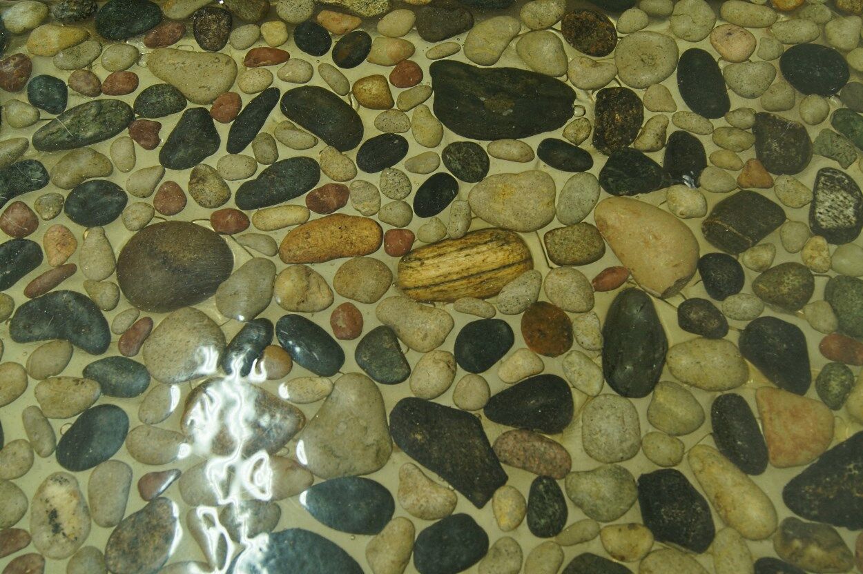 Vintage Swedish rosewood coffee table, 1960s