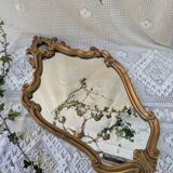Gilded wood mirror