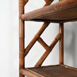 1960s bamboo and rattan bookcase