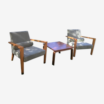 Pair of armchairs line roset French Line Didier Gomez