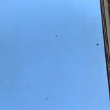 Antique mirror with gilded wood pediment, Louis XVI style