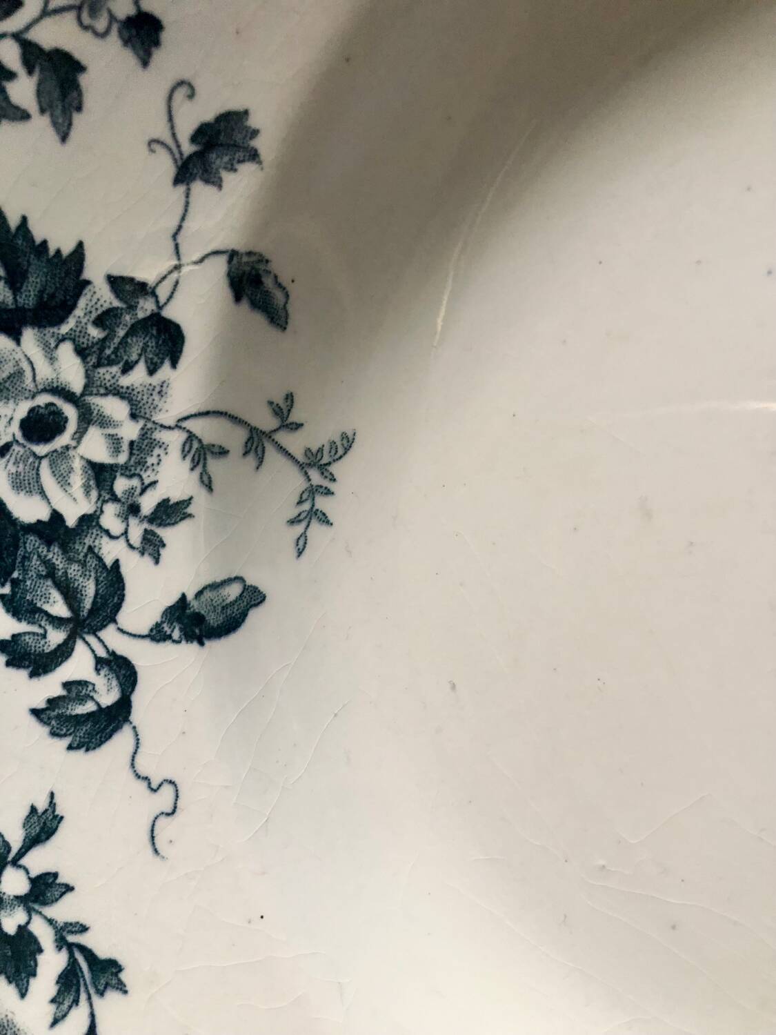 Deep ironstone plate from Saint Amand and Hamage